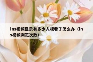 ins视频显示有多少人观看了怎么办（ins视频浏览次数）
