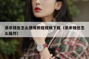 派币钱包怎么使用教程视频下载（派币钱包怎么操作）