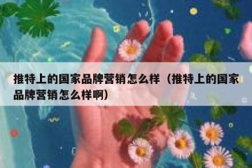 推特上的国家品牌营销怎么样（推特上的国家品牌营销怎么样啊）