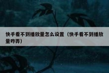 快手看不到播放量怎么设置（快手看不到播放量咋弄）
