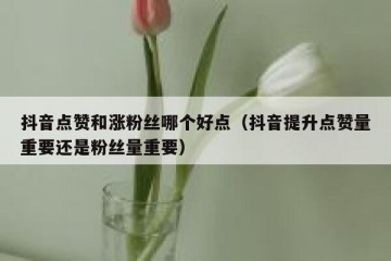 抖音点赞和涨粉丝哪个好点（抖音提升点赞量重要还是粉丝量重要）