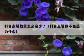 抖音点赞数量怎么变少了（抖音点赞数不变是为什么）