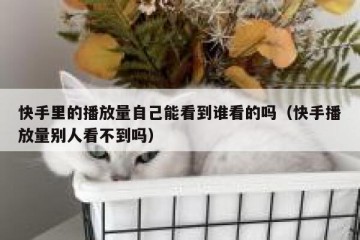 快手里的播放量自己能看到谁看的吗（快手播放量别人看不到吗）