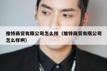 推特商贸有限公司怎么样（推特商贸有限公司怎么样啊）