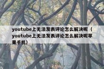 youtube上无法发表评论怎么解决呢（youtube上无法发表评论怎么解决呢苹果手机）