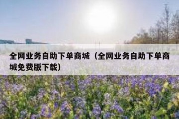 全网业务自助下单商城（全网业务自助下单商城免费版下载）