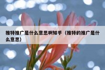 推特推广是什么意思啊知乎（推特的推广是什么意思）