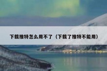 下载推特怎么用不了（下载了推特不能用）