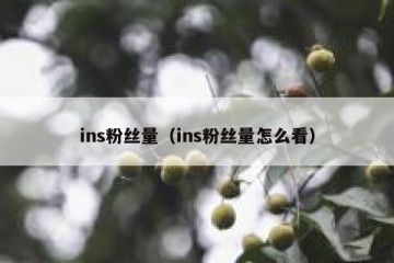 ins粉丝量（ins粉丝量怎么看）