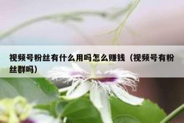 视频号粉丝有什么用吗怎么赚钱（视频号有粉丝群吗）