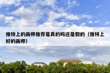 推特上的画师推荐是真的吗还是假的（推特上好的画师）