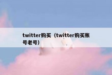 twitter购买（twitter购买账号老号）