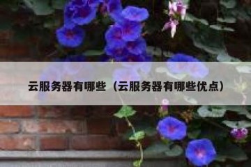 云服务器有哪些（云服务器有哪些优点）