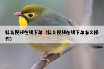 抖音视频在线下单（抖音视频在线下单怎么操作）