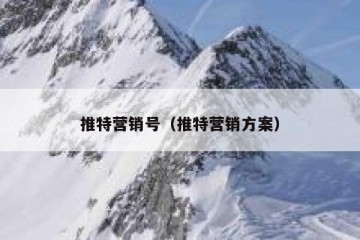 推特营销号（推特营销方案）