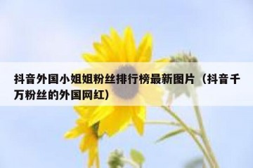 抖音外国小姐姐粉丝排行榜最新图片（抖音千万粉丝的外国网红）