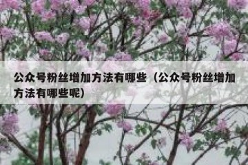 公众号粉丝增加方法有哪些（公众号粉丝增加方法有哪些呢）