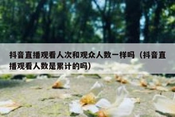 抖音直播观看人次和观众人数一样吗（抖音直播观看人数是累计的吗）