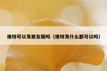 推特可以发朋友圈吗（推特发什么都可以吗）