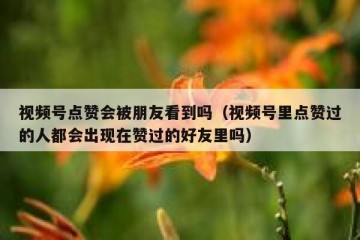 视频号点赞会被朋友看到吗（视频号里点赞过的人都会出现在赞过的好友里吗）