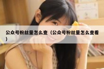 公众号粉丝量怎么查（公众号粉丝量怎么查看）