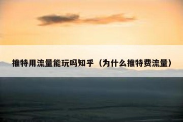 推特用流量能玩吗知乎（为什么推特费流量）