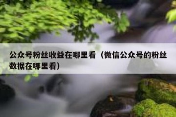 公众号粉丝收益在哪里看（微信公众号的粉丝数据在哪里看）
