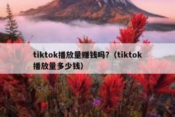 tiktok播放量赚钱吗?（tiktok播放量多少钱）