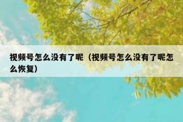 视频号怎么没有了呢（视频号怎么没有了呢怎么恢复）