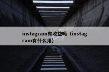 instagram有收益吗（instagram有什么用）