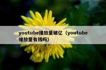 youtube播放量破亿（youtube播放量有钱吗）