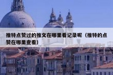 推特点赞过的推文在哪里看记录呢（推特的点赞在哪里查看）