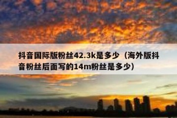 抖音国际版粉丝42.3k是多少（海外版抖音粉丝后面写的14m粉丝是多少）