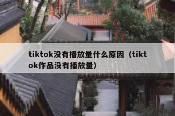 tiktok没有播放量什么原因（tiktok作品没有播放量）