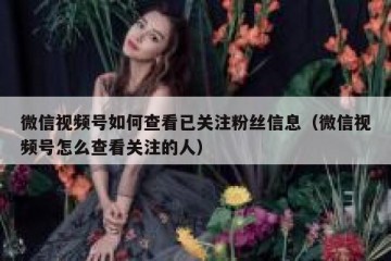 微信视频号如何查看已关注粉丝信息（微信视频号怎么查看关注的人）