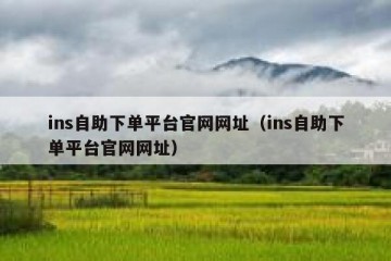 ins自助下单平台官网网址（ins自助下单平台官网网址）