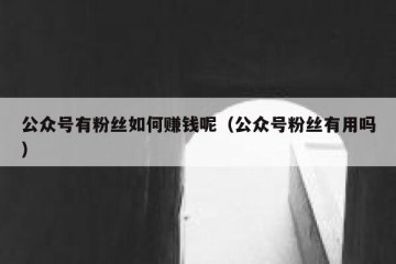 公众号有粉丝如何赚钱呢（公众号粉丝有用吗）