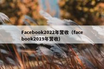 Facebook2022年营收（facebook2019年营收）