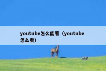 youtube怎么能看（youtube 怎么看）