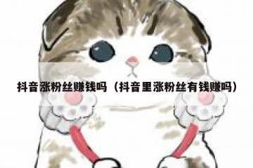 抖音涨粉丝赚钱吗（抖音里涨粉丝有钱赚吗）