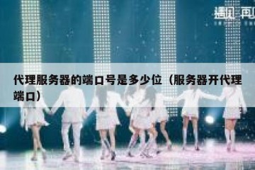 代理服务器的端口号是多少位（服务器开代理端口）