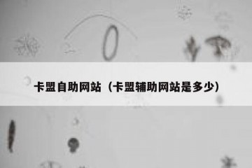 卡盟自助网站（卡盟辅助网站是多少）