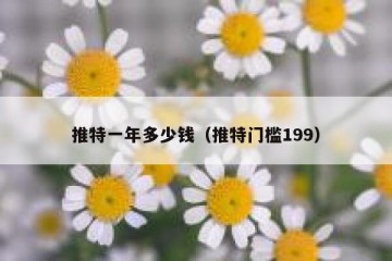 推特一年多少钱（推特门槛199）