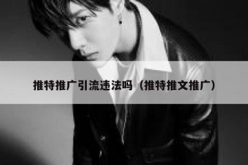 推特推广引流违法吗（推特推文推广）