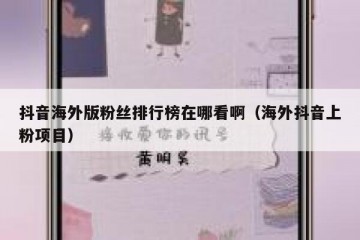 抖音海外版粉丝排行榜在哪看啊（海外抖音上粉项目）