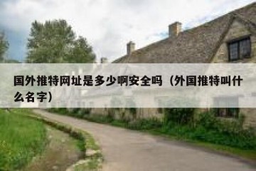 国外推特网址是多少啊安全吗（外国推特叫什么名字）