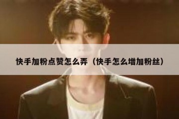 快手加粉点赞怎么弄（快手怎么增加粉丝）