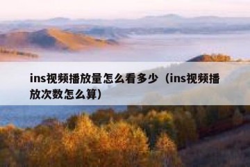 ins视频播放量怎么看多少（ins视频播放次数怎么算）