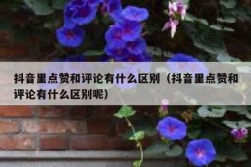 抖音里点赞和评论有什么区别（抖音里点赞和评论有什么区别呢）