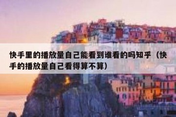 快手里的播放量自己能看到谁看的吗知乎（快手的播放量自己看得算不算）
